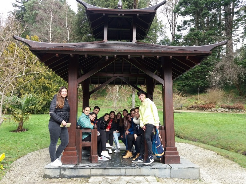 20180407 105832 (Copy)